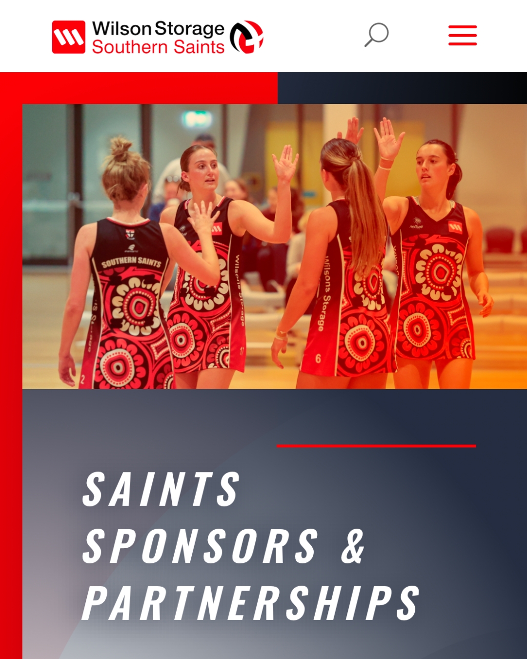 southern saints netball club website design