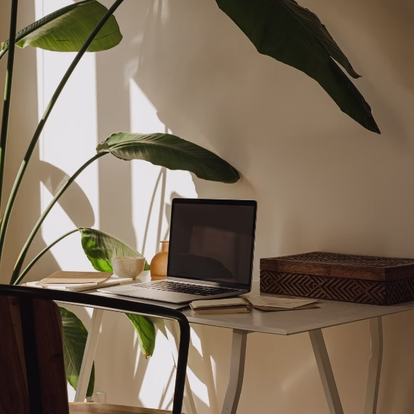 The AI Search Revolution: How Small Businesses Can Adapt to Changing Search Behaviour